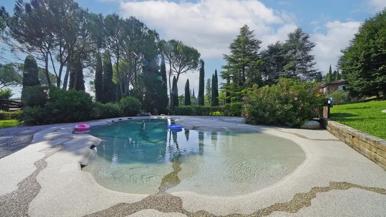 Swimming pool with irregular edge and surrounding green area