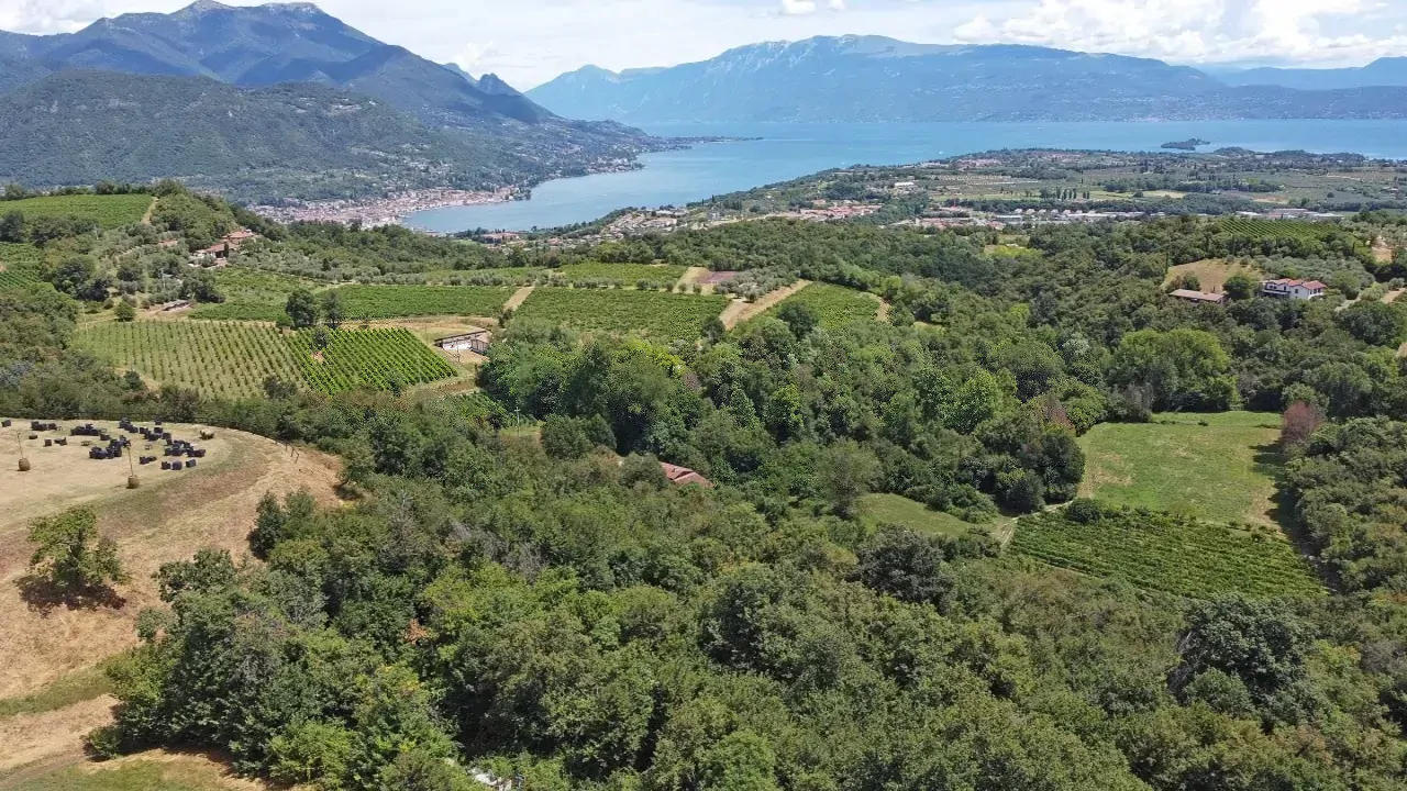 Aerial view of the lake and green hills in Puegnago sul Garda