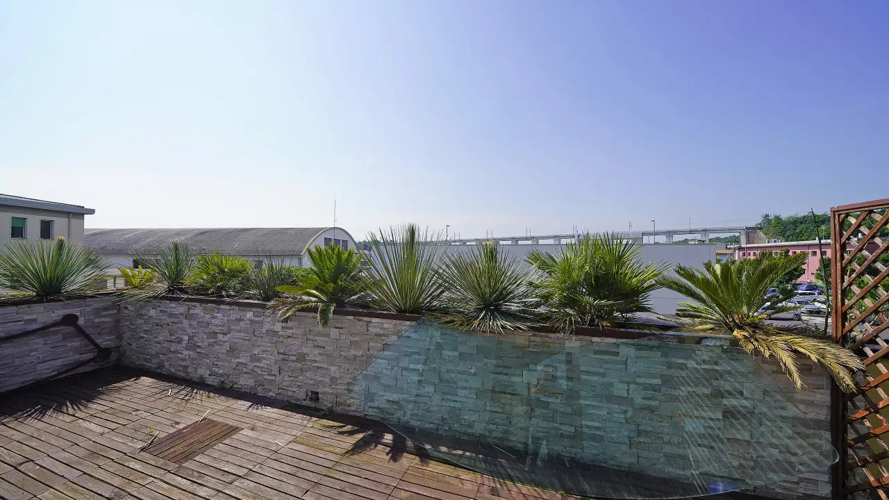 Terrazza con pavimento in legno e fioriere con piante grasse