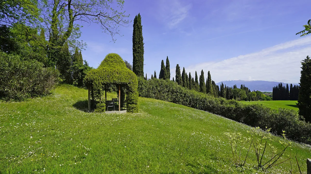Garten mit von Vegetation bedecktem Pavillon und hohen Bäumen