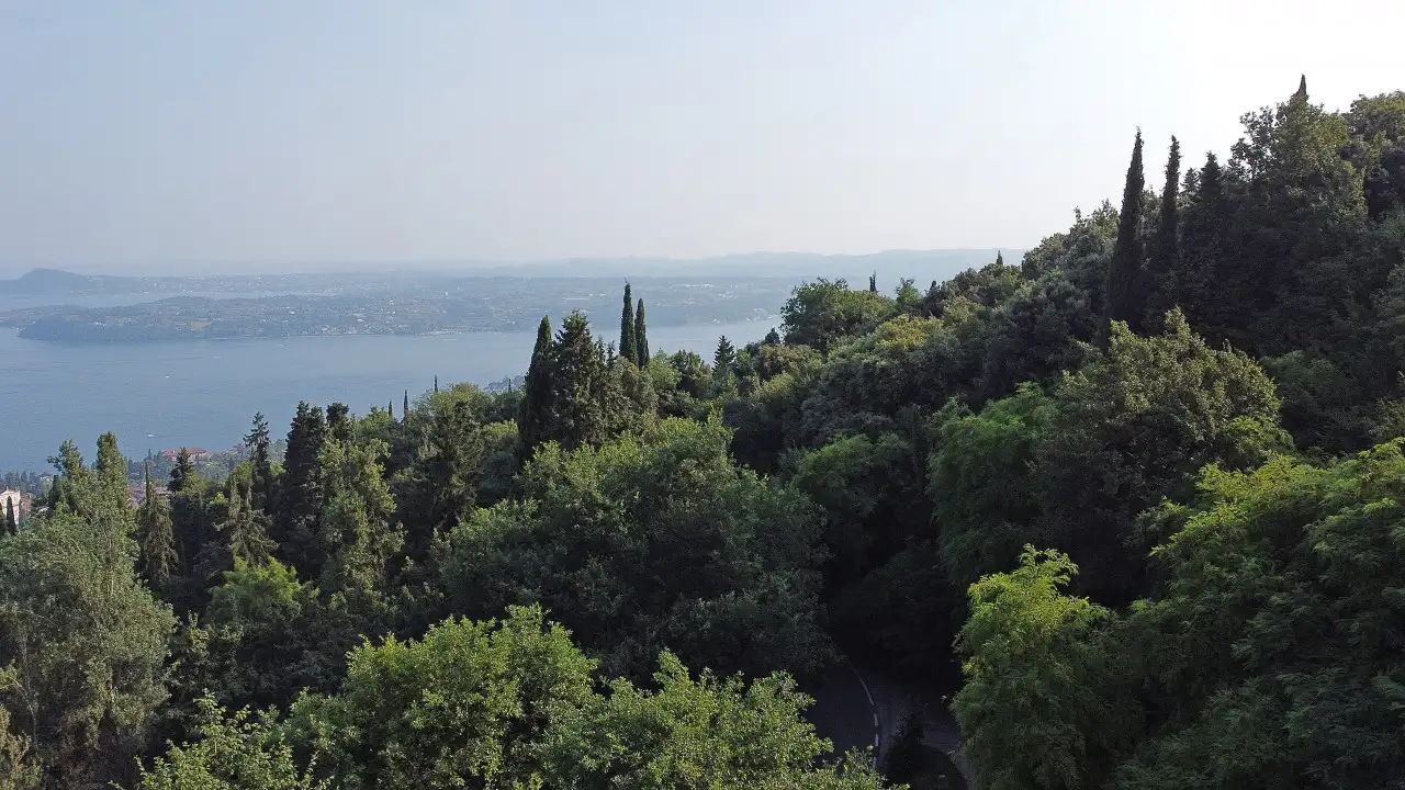 Panoramic view of the lake and green vegetation