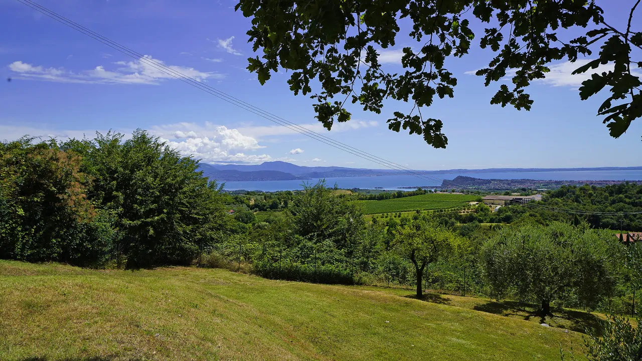 Vista del lago e colline da prato con alberi