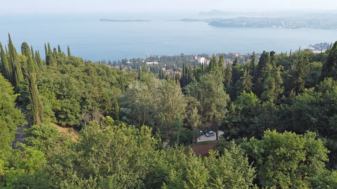 Panoramic view of the lake and green vegetation