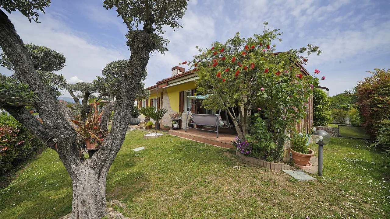 Garden with tree and plants in front of yellow detached villa