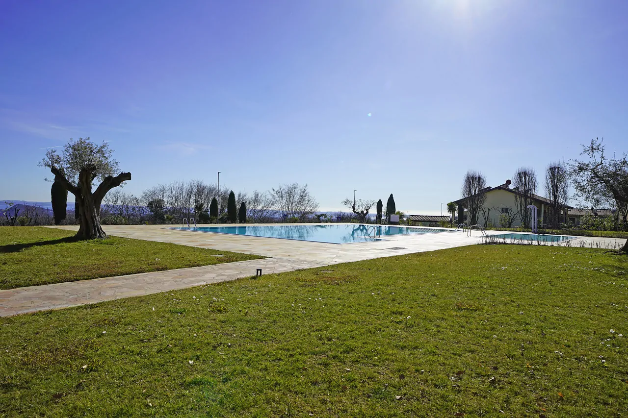 Piscina esterna con prato e alberi intorno sotto cielo sereno