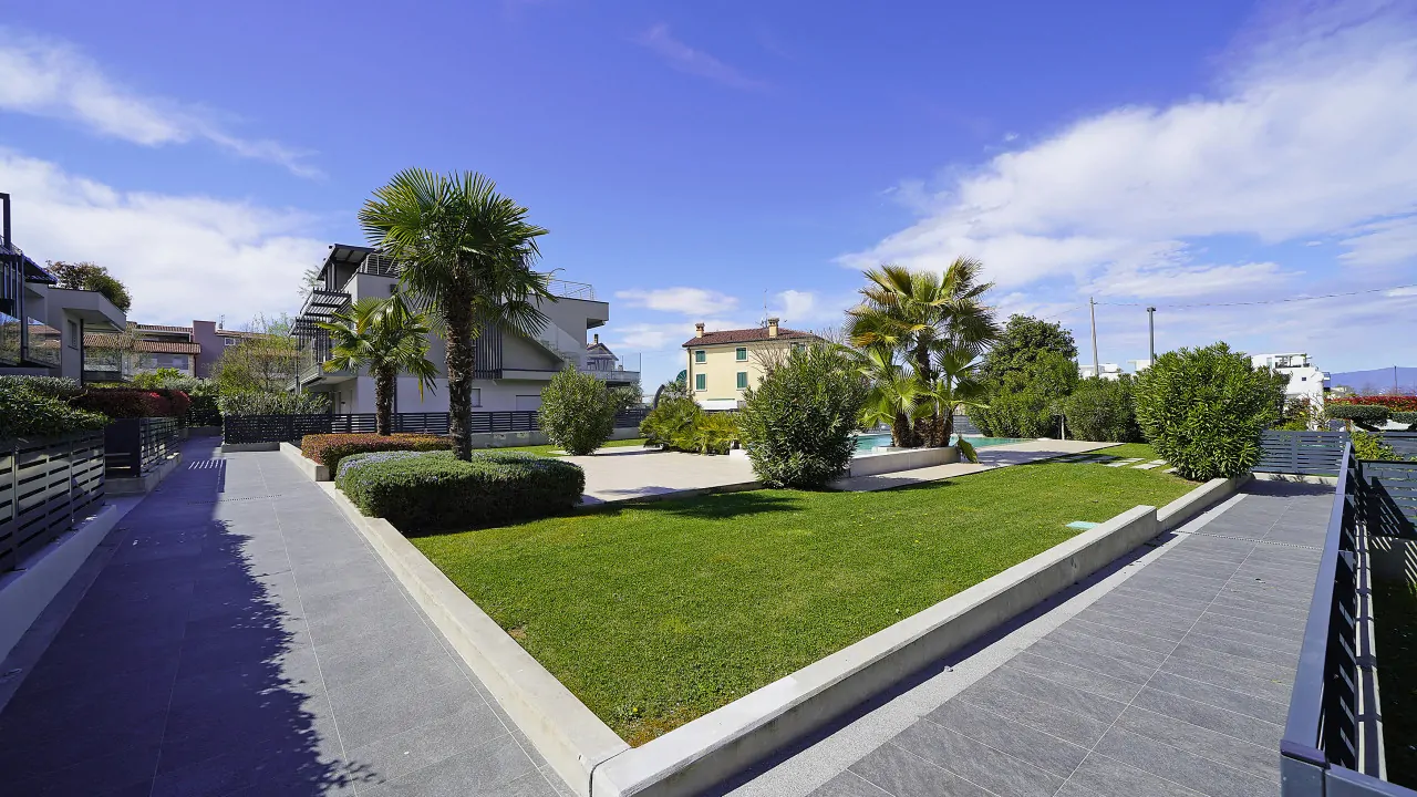 Garden with lawn, palm trees and bushes under clear sky