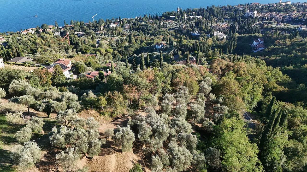 Aerial view of land with olive trees and vegetation in Gardone Riviera
