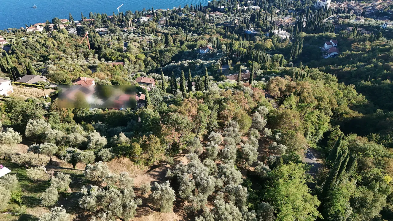 Aerial view of land with olive trees and vegetation in Gardone Riviera